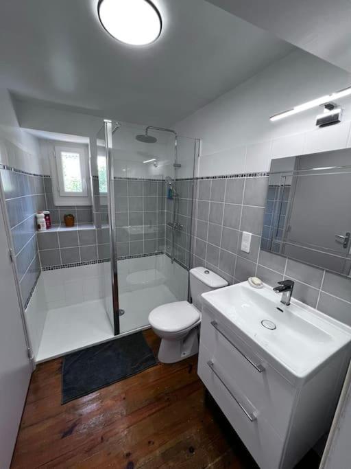 Charmante Maison Renovee Nerac Ngoại thất bức ảnh